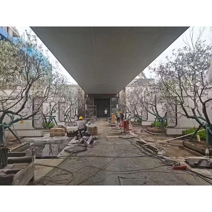 거리 올리브나무